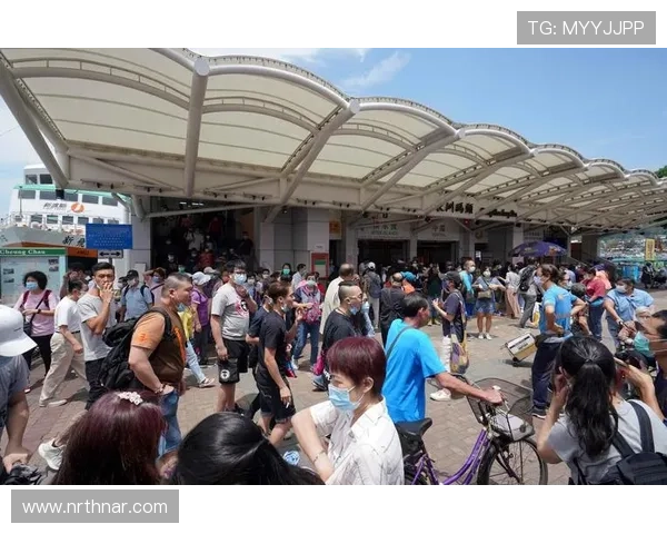 凯发K8官网网页版的常见问题解答与用户指南，帮助新手快速上手，解决使用中的疑问